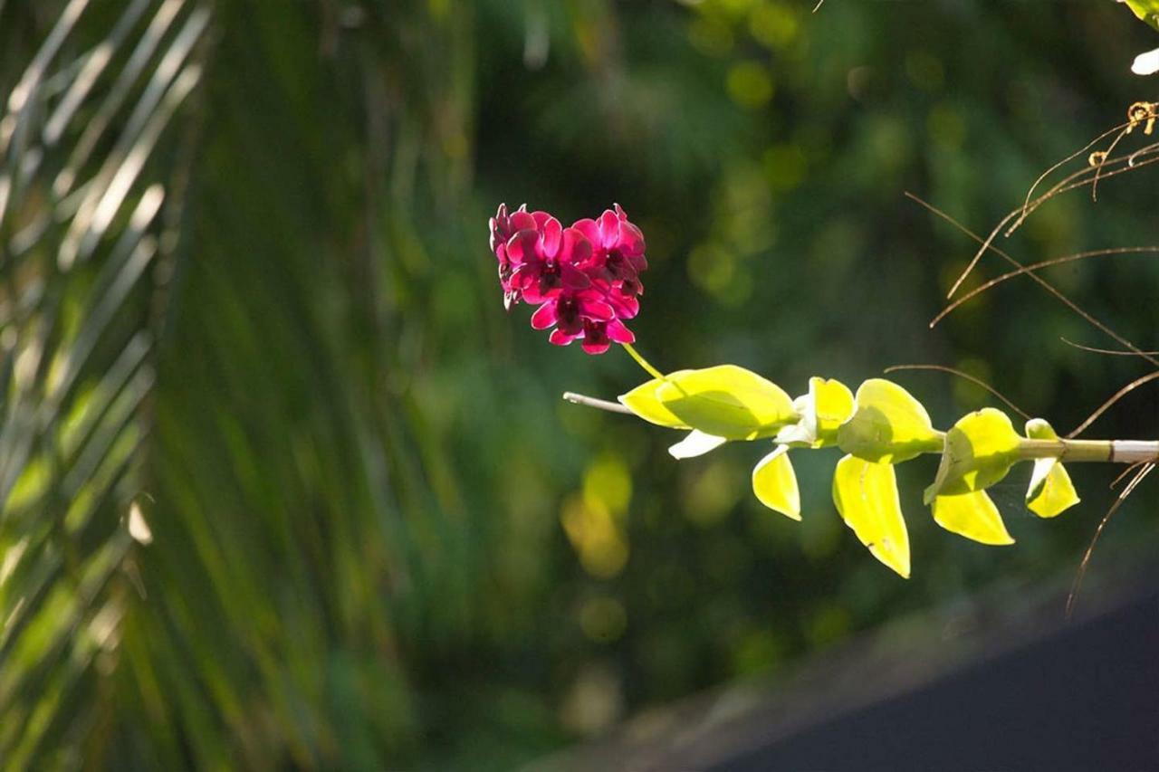 Casa vacanze Baan Heaven / Pool Sleeps Up To 15 *